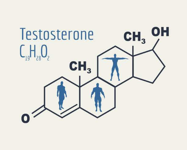 testosterone