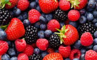 soft fruit for muscle growth