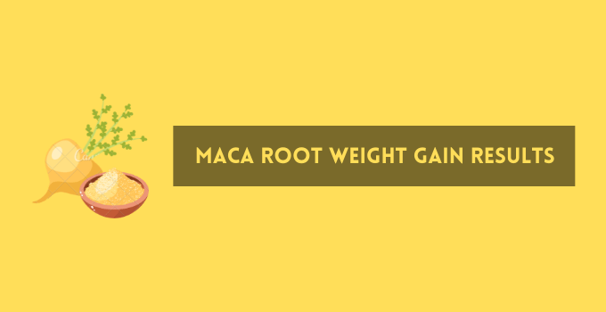 Maca Root Weight Gain Results