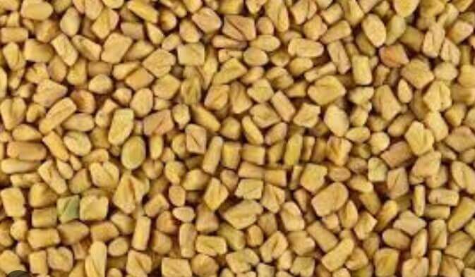 fenugreek