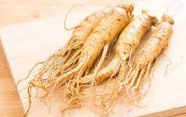 ginseng